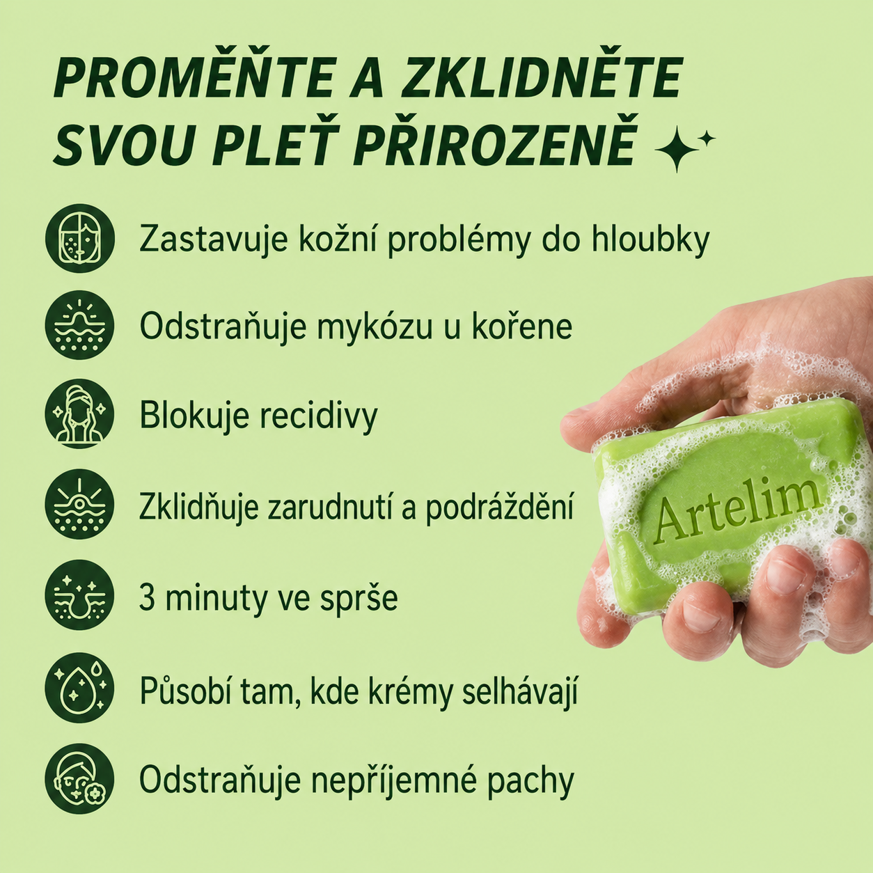 Artelim® Čistící mýdlo proti plísním In